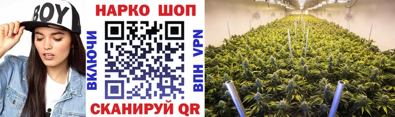 Наркошоп купить Гашиш  Alpha PVP  COCAIN  МЕФ  Бошки Шишки  Ивантеевка