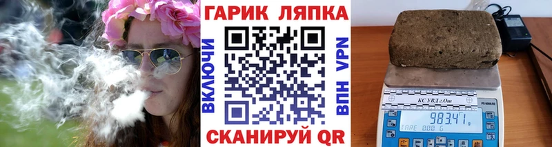 Купить  Ивантеевка  ГАШ Изолятор 