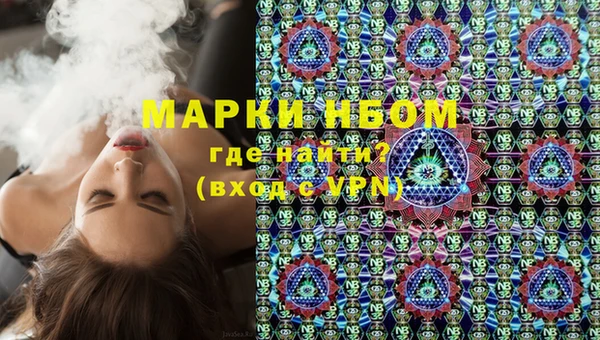 гидра Каменногорск