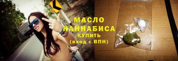 гидра Каменногорск