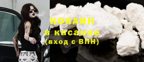 гидра Каменногорск