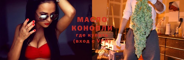 гидра Каменногорск