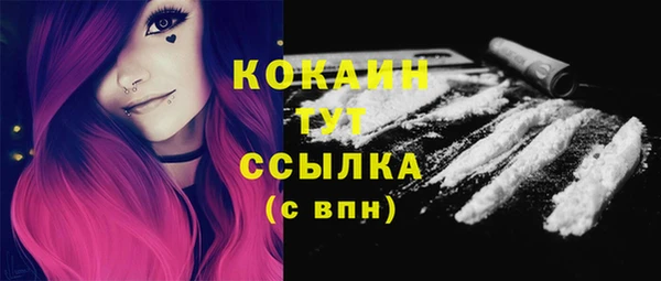 спиды Каменка
