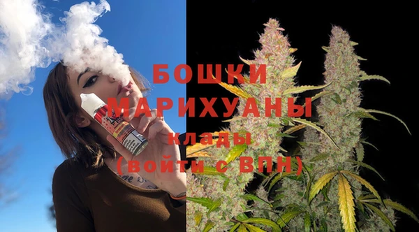 гидра Каменногорск