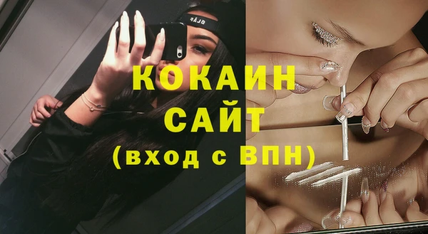 спиды Каменка