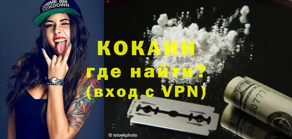 гидра Каменногорск
