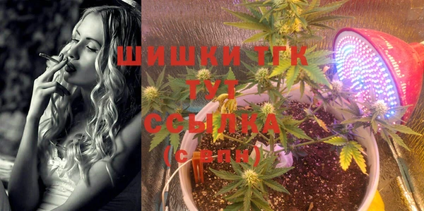 спиды Каменка